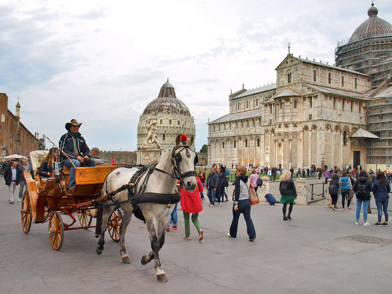 ������� ���������: ����� �� ������� �����. ����