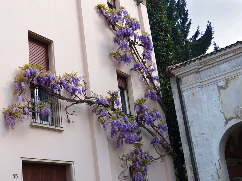 ������� ���������: �����-�� ��������. �������