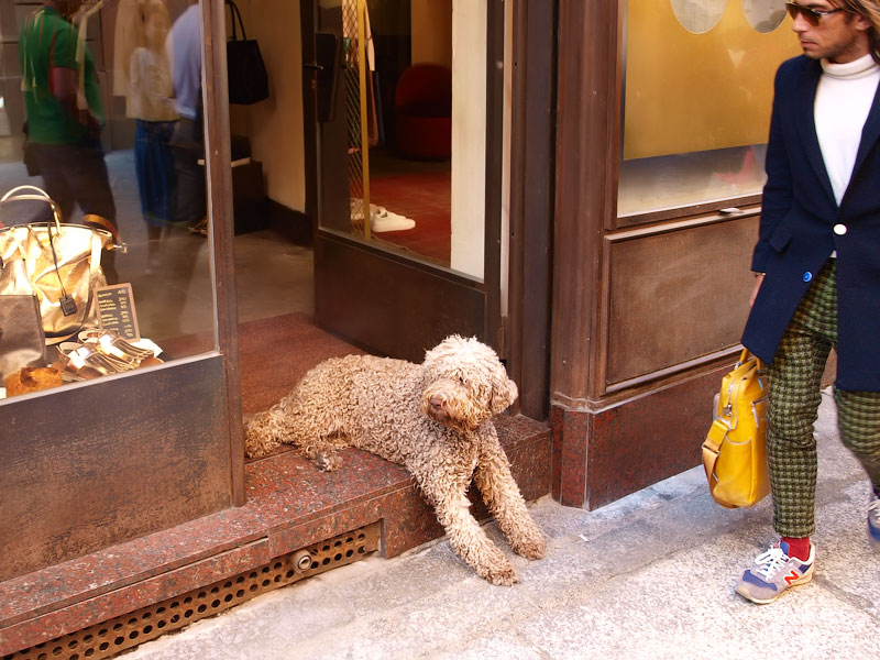 ������� ���������: ������ ��������. ����� ������