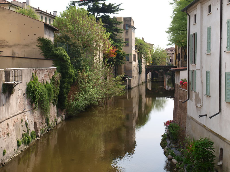 ������� ���������: ����� �� �������. ������