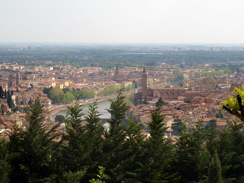 ������� ���������: ������. � �������� ���� ������