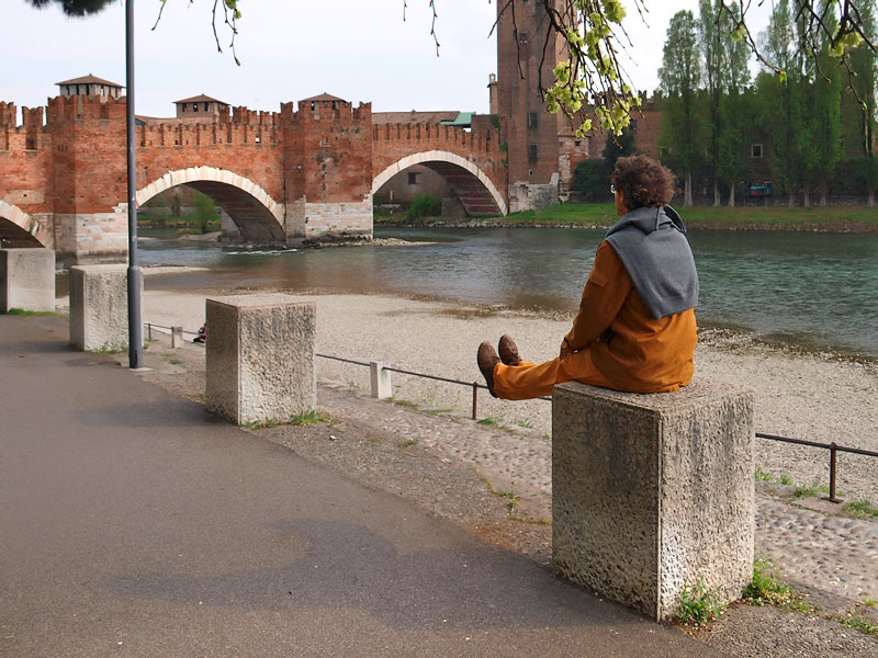 ������� ���������: ����  ����������. ���������� ���� ������