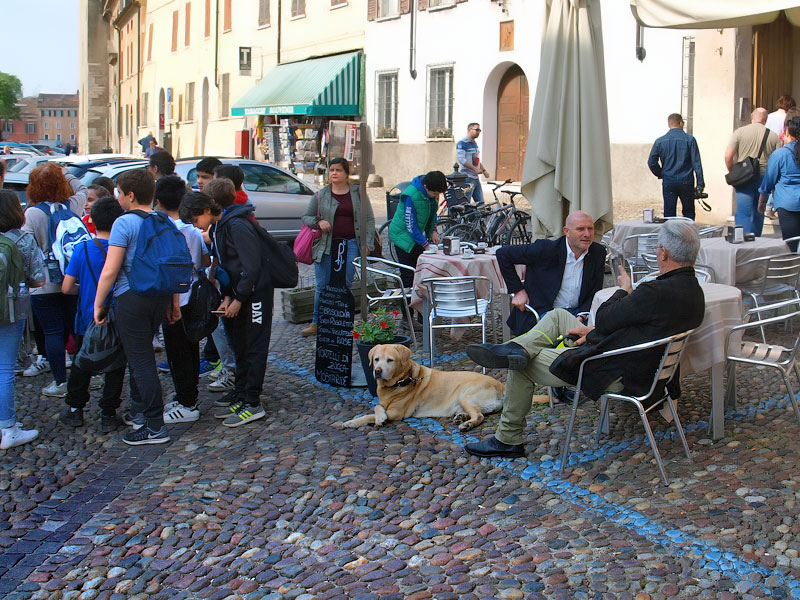 ������� ���������: ���������, �������� � ����������. ������