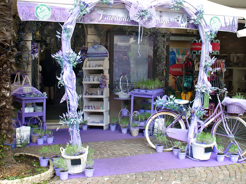 ������� ���������: ���������� �����. � ������