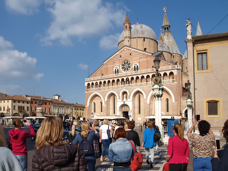 ������� ���������: �������� ��. ������� �����������. �����