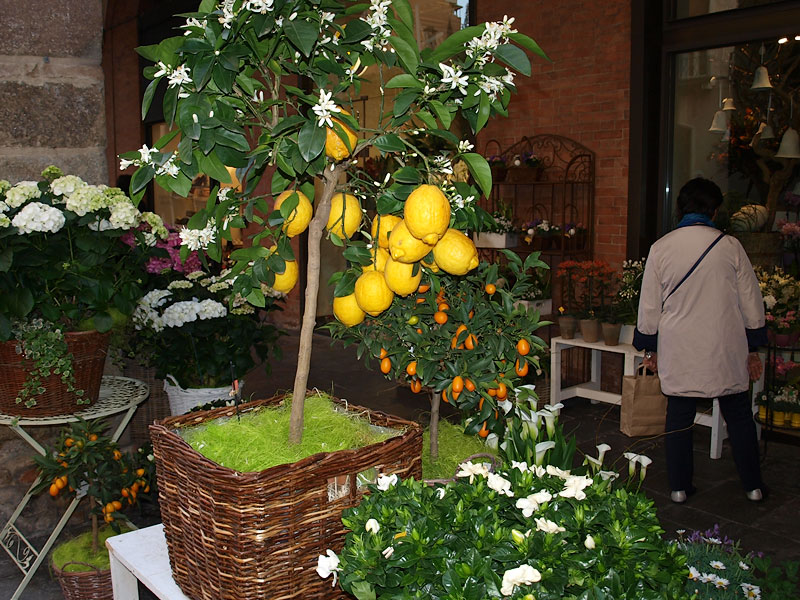 ������� ���������: �������� �������. ������ � �����