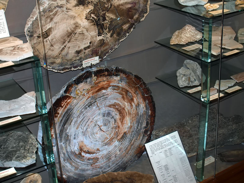 ������� ���������: ����� �������� ��������. ����� � ����� ����������