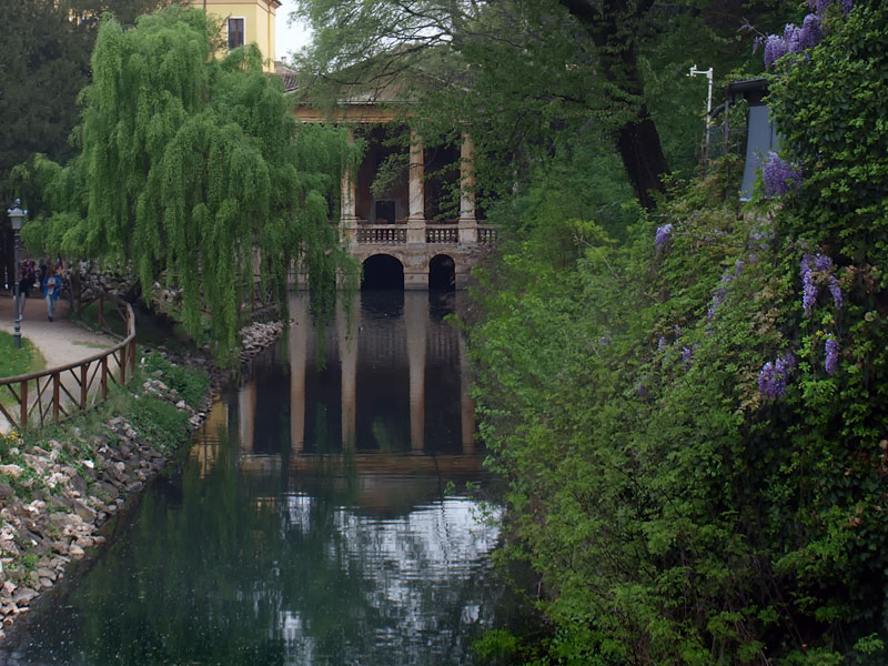 ������� ���������: ���������� ���������. ��� ������