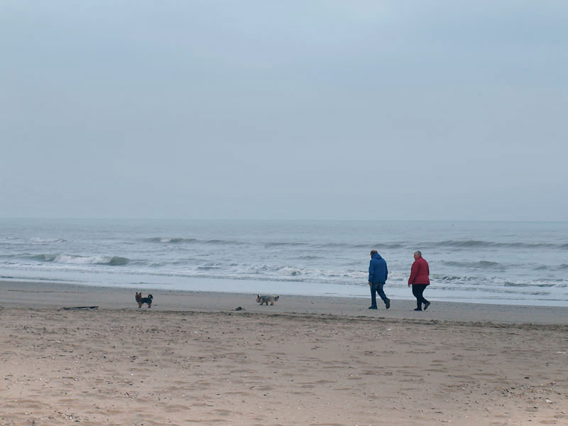 ������� ���������: ������ ����. ������