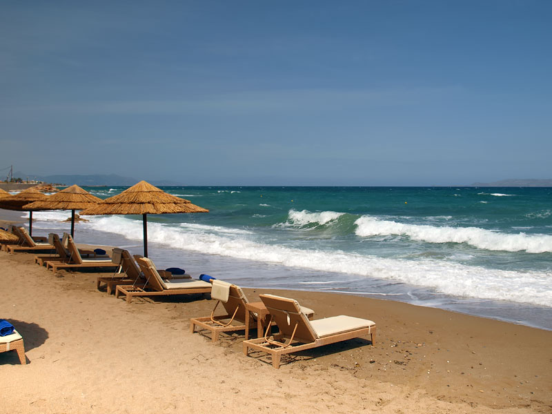 ������� ���������: �������� ����. ����