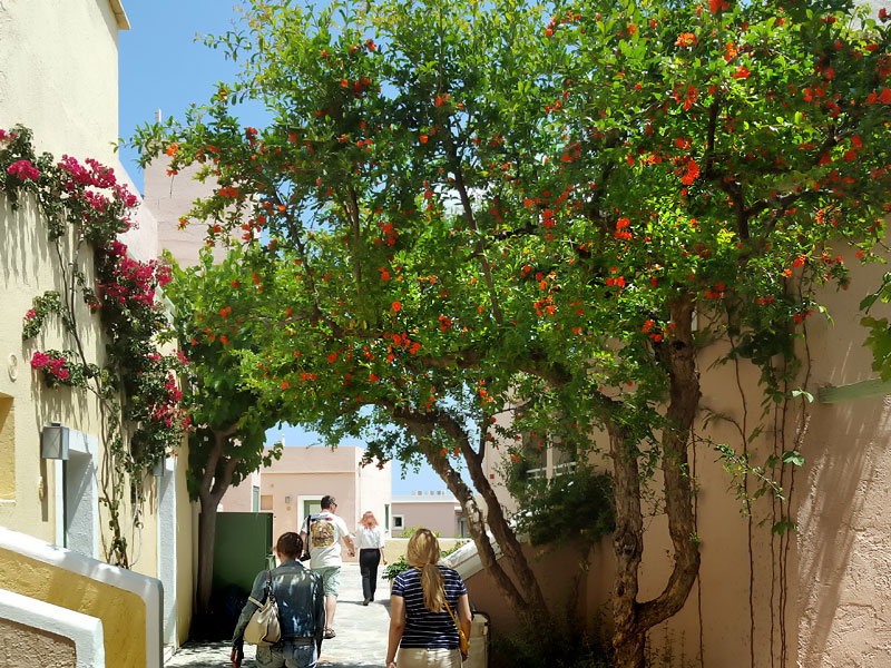 ������� ���������: ����-������. �����������