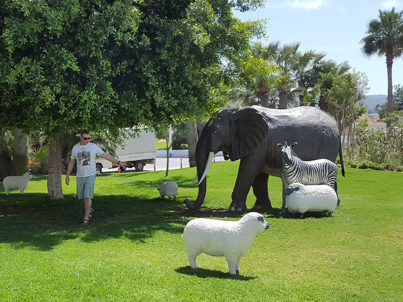 ������� ���������: ����������� ������. ��� �����