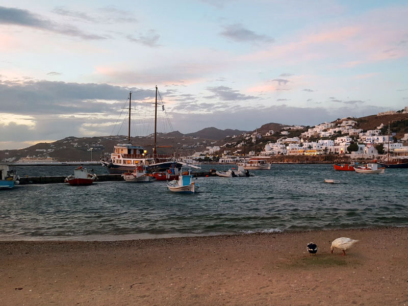 ������� ���������: ������� � ����. �� �����