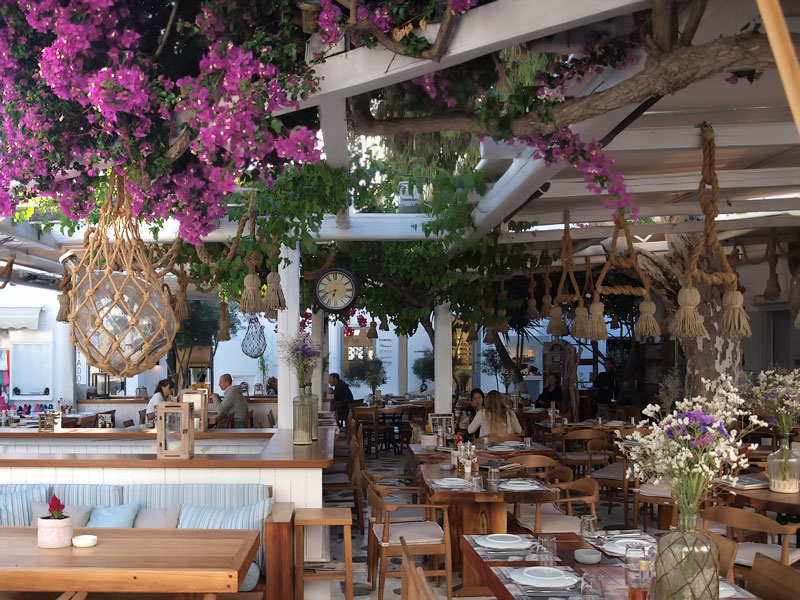 ������� ���������: �������� ��������. �������� ��������