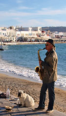 ������ ����