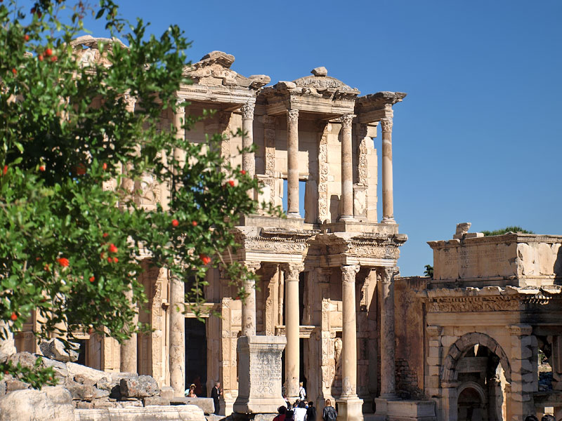 ������� ���������: ���������� ������. ����