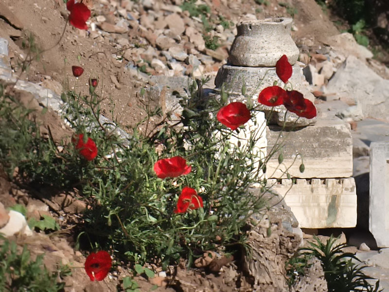 ������� ���������: ���� �� ������. �������� ���������