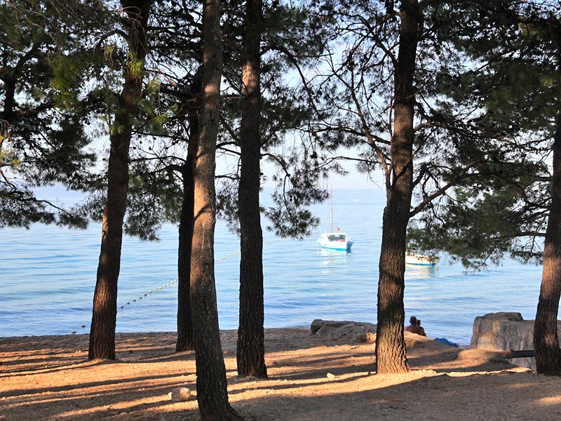 ������� ���������: ����� ���������. ����