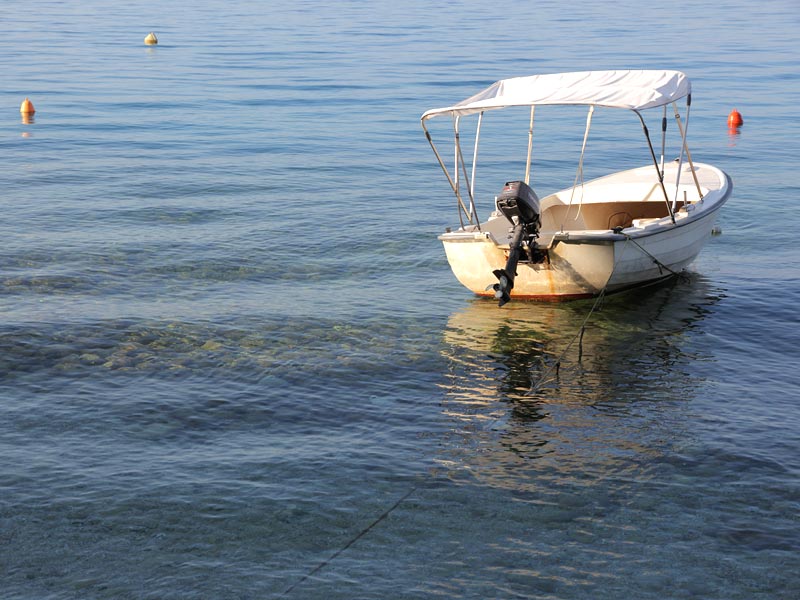 ������� ���������: � ��� ���� �����. ����