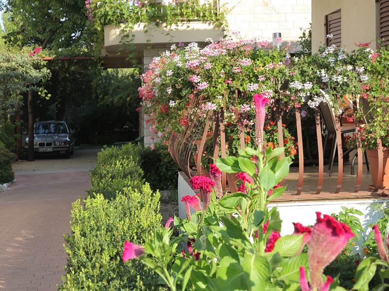 ������� ���������: �������� ����. ������� ��������