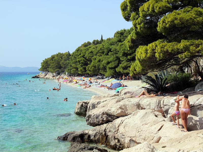 ������� ���������: ���� � ����� '��'. ���� �� ������