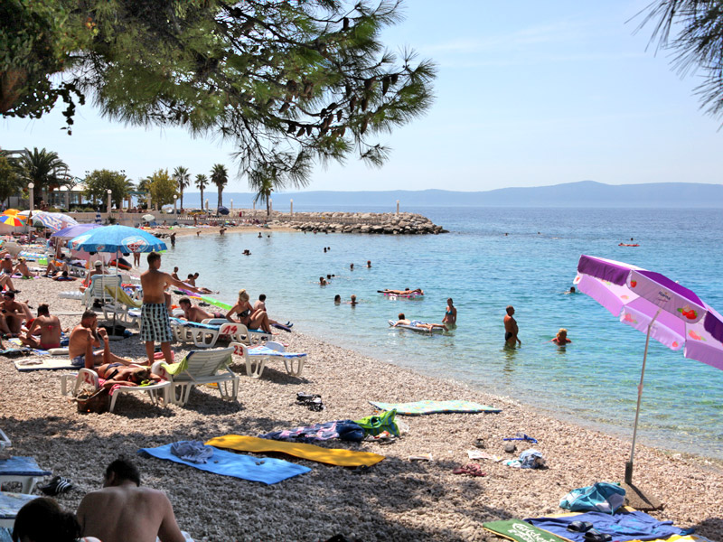 ������� ���������: ���� ������. ������ ����������