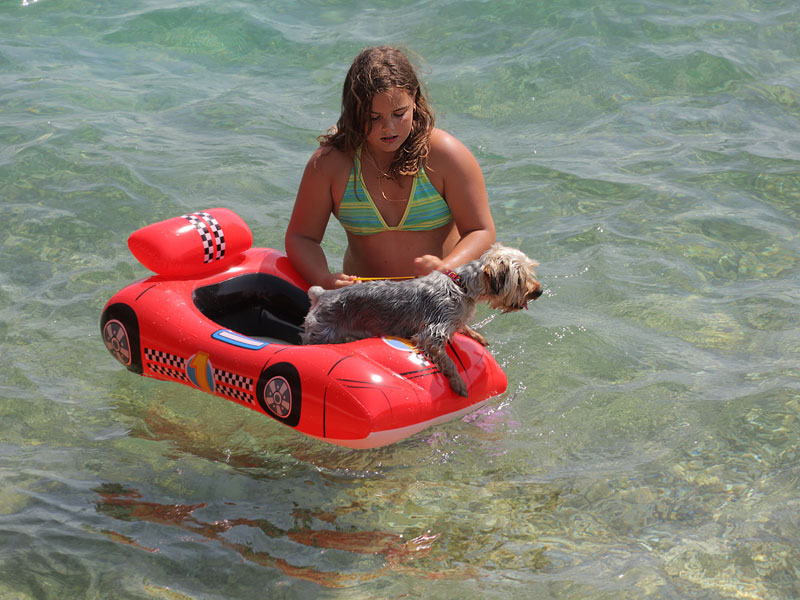 ������� ���������: ��������� ����� ��������� � ����������. ����������