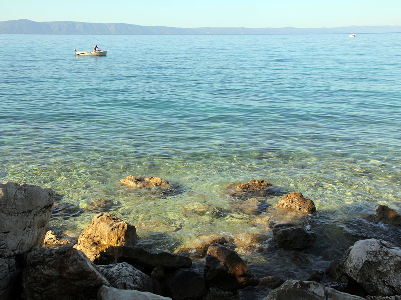 ������� ���������: ���� �� ���������. ������� �������