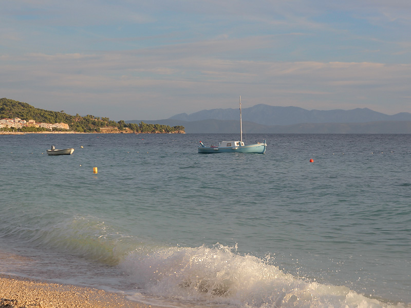 ������� ���������: ����� �����!. �����