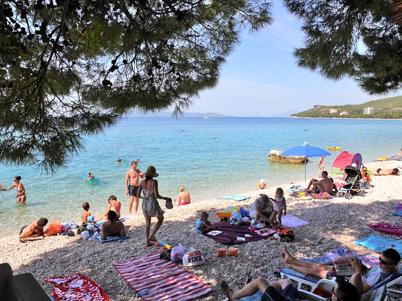 ������� ���������: ���� �������. ������ ����������