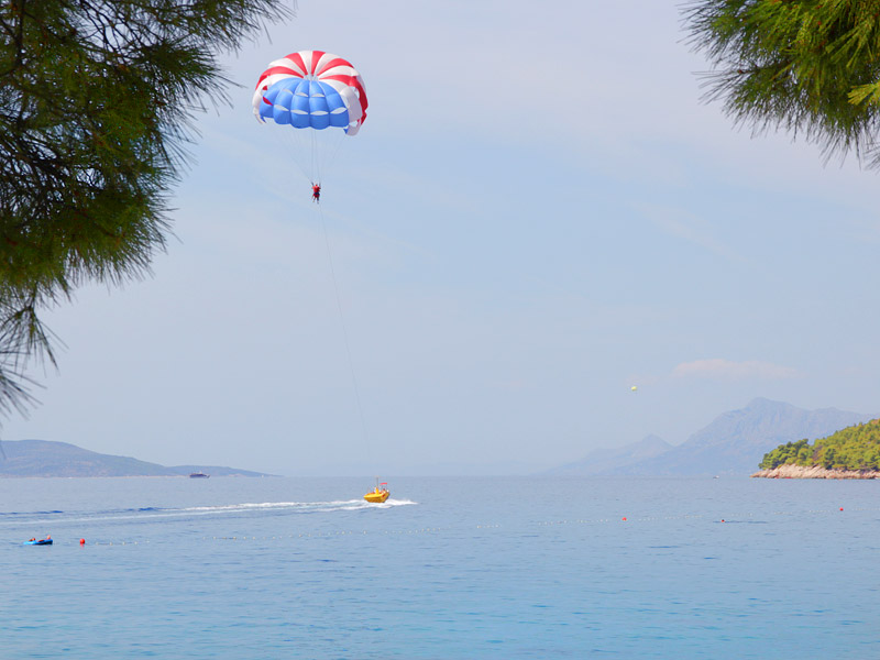 ������� ���������: ����� ���� ��������. � ���� ��� ����������