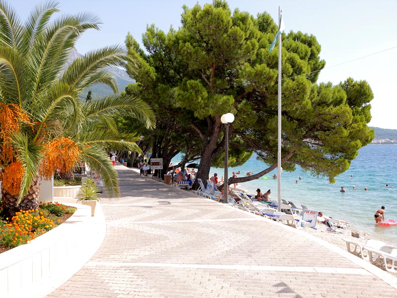 ������� ���������: ������� ����������. �������� ���