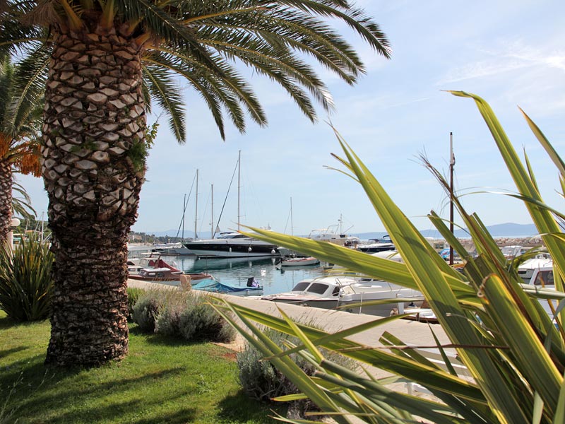 ������� ���������: � ���� �����. ����������