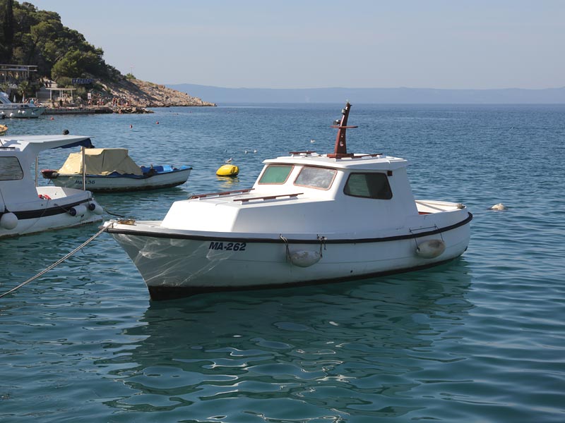 ������� ���������: ����� ����� �� �������. �����