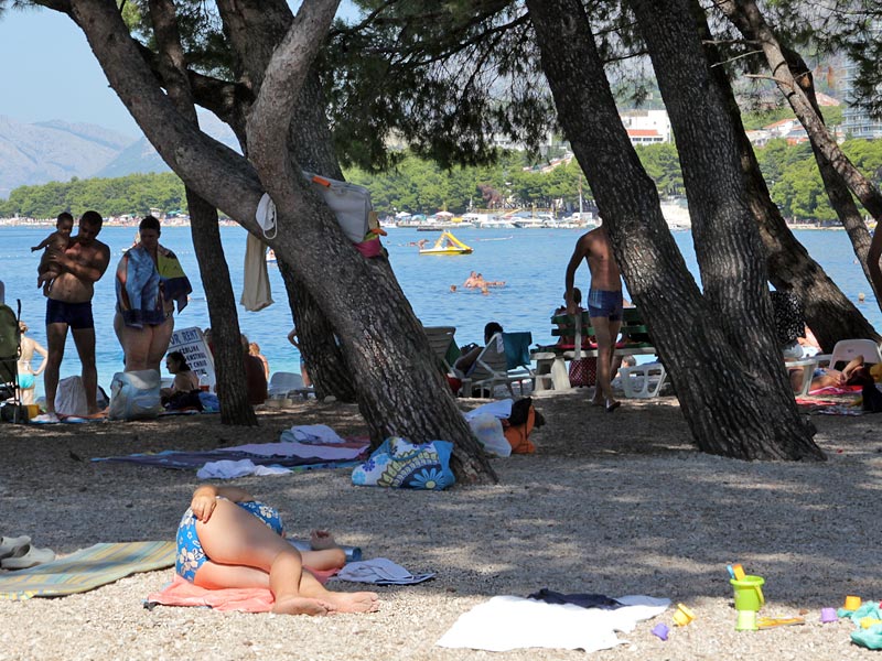 ������� ���������: �� ��� �� �����������. ���, ��������� ������ ����� ������ ���������� �����