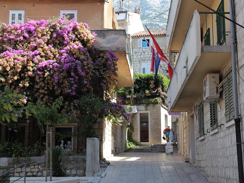 ������� ���������: ����� �����. ������ �����