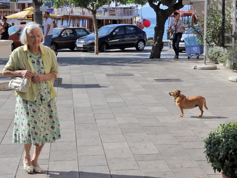 ������� ���������: �� ����������. ���������� ������