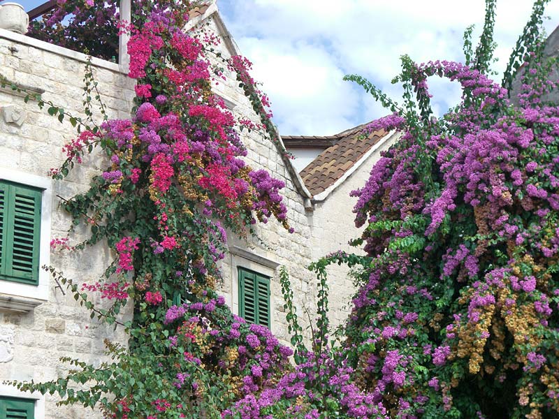 ������� ���������: ��� ������ �������, � ������ - ������������. ������ �����������