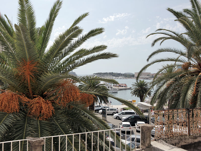 ������� ���������: ��� � ������� �� ������. ������ �����������