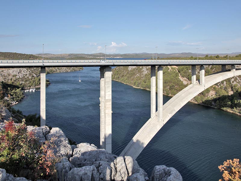 ������� ���������: ����������� ���� ����� ���� ����. ���� �� ���������� �������