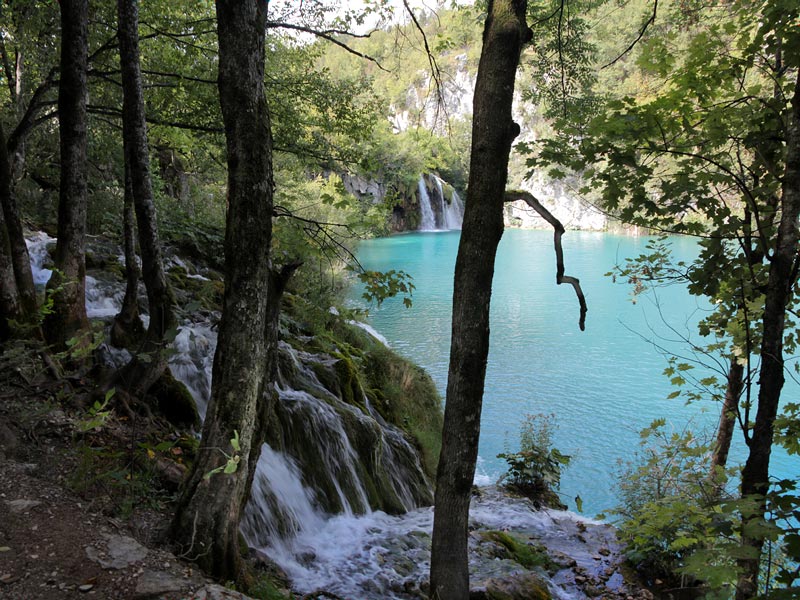 ������� ���������: ��� ����������. ����������� �������