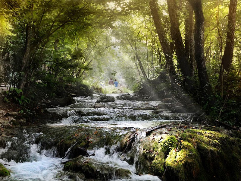 ������� ���������: ������������ �������. ����������� �������