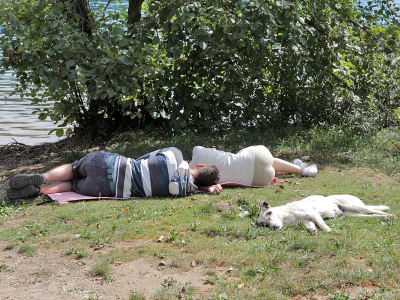 ������� ���������: ���� ��� ������ ���. ������ ��� ������