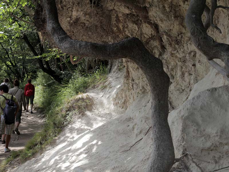 ������� ���������: ���������� �������. ������� �� �����