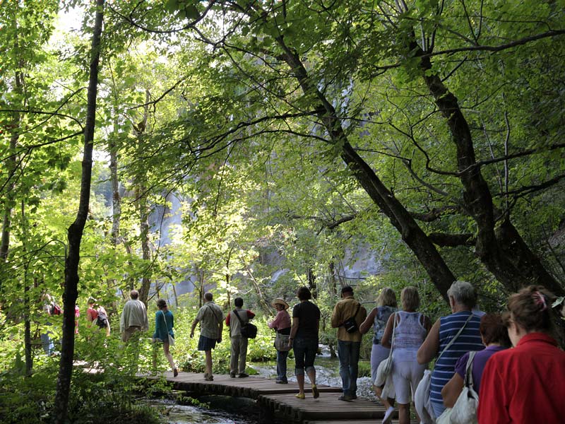 ������� ���������: ������ ��� ��������. �� �����