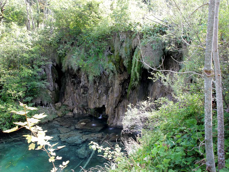 ������� ���������: ��� ���� ����. ����-�������