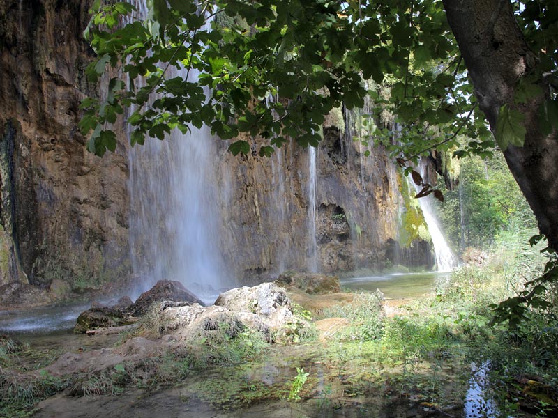 ������� ���������: � ��� �������� �������. ����������� �������