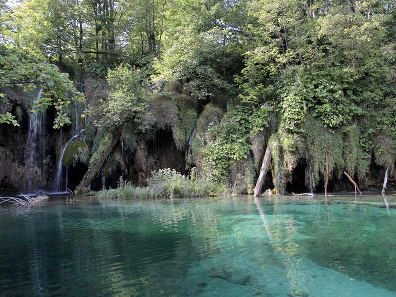 ������� ���������: ����� ����� �������. ����������� ������� � �����������