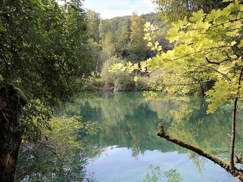 ������� ���������: ������� �����. ����������� �������