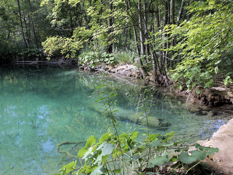 ������� ���������: ��� �����. ����������� ������� � ���������� �����